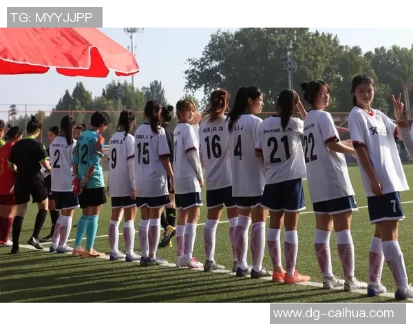 纯烨足球带你领略足球的魅力与激情探索球场背后的故事与梦想